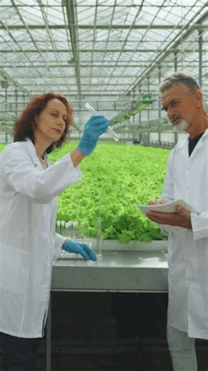 clip-3983334715-genetic-engineering-biologists-bioengineers-collect ...