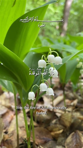 ✅ سورة الهمزة - المنشاوي مرتل