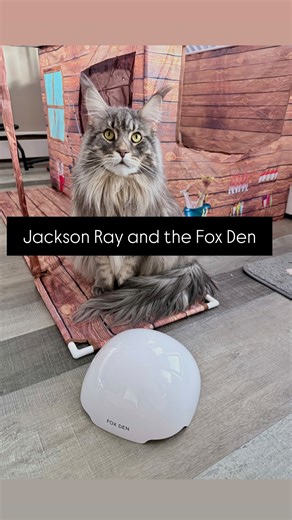 🩷Willow Grace 💙Jackson Ray 🧡Dorito Jones | The Fox Den is one of JR’s favourites and it still continues to surprise him! 😹🦊 | Instagram