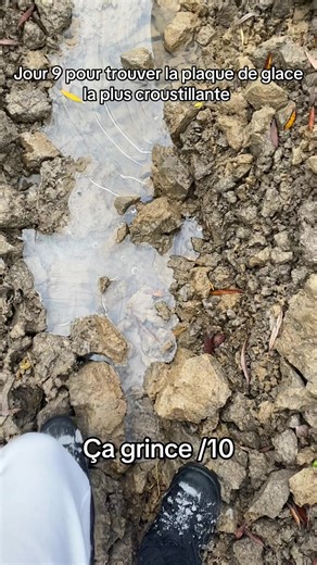 Jour 9 pour trouver la plaque de glace la plus croustillante #satisfyingvideos #froid #crunch #ice #glace