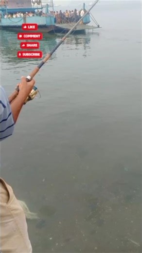 spinefoot fish caught in riverside 🎣 support subscribe