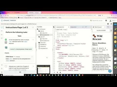 Help with Chapter 3 C3 Lab 2 Wildlife Rescue