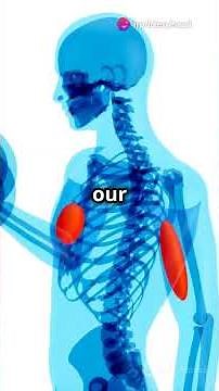 How Muscles Move: The Science Behind Every Flex!