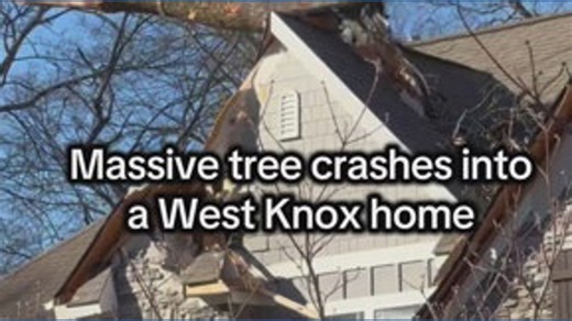 Tree crashes into West Knox home