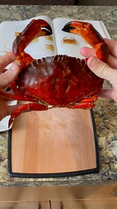 The primary red rock crab found on the Pacific coast of North America is Cancer productus. It is known for its wide, brick-red shell and black-tipped claws. A different, unrelated species, Guinusia chabrus, is also commonly referred to as a "red rock crab" in Australia. Key Facts about Cancer productus: Appearance: Deep red, fan-shaped carapace with rounded, saw-toothed edges. Claws: Distinctive black-tipped pincers. Habitat: Rocky intertidal areas, estuaries, and depths up to 260 feet. Range: A