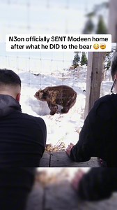 N3on Sends Modeen Home After Bear Incident