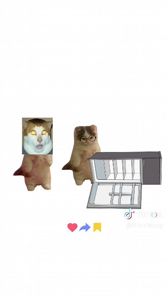 Cats Explain Alcohol in Humorous Animations