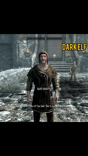 Skyrim ٠ What Happens If You Enter Windhelm as a Dark Elf (Dunmer) #skyrim