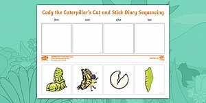 Caterpillar Life Cycle 'First, Next, After, Last' Sequencing Activity