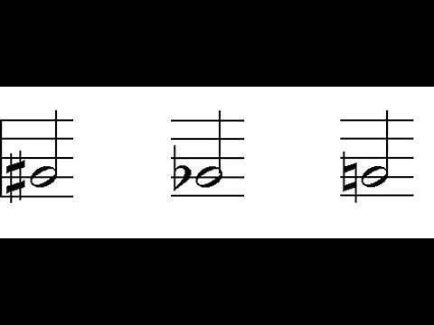 Noten lesen lernen 2