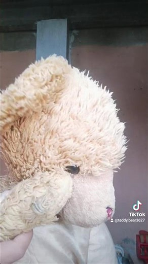 Ap ny Bigir dia mjy ☺😉 #foryou #topteddy #shortvideos #funny #trending #viralvideos #ytshort #bear