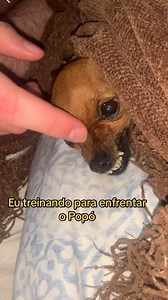 Pode vir Popó que eu te enfrento🙈😳🤭😂 #meme #humor #popo #box | Melzinha mini