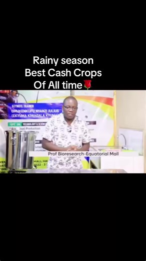 Top Cash Crops to Grow During Rainy Seasons