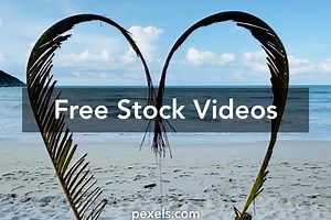 Free Video Videos, Download The BEST Free 4k Stock Video Footage & Free Video HD Video Clips