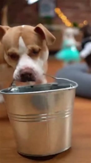 Party is OVER! 💃🚫🖤