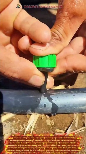 💧 El chorro de la tierra: Instalación de riego por goteo y aspersión