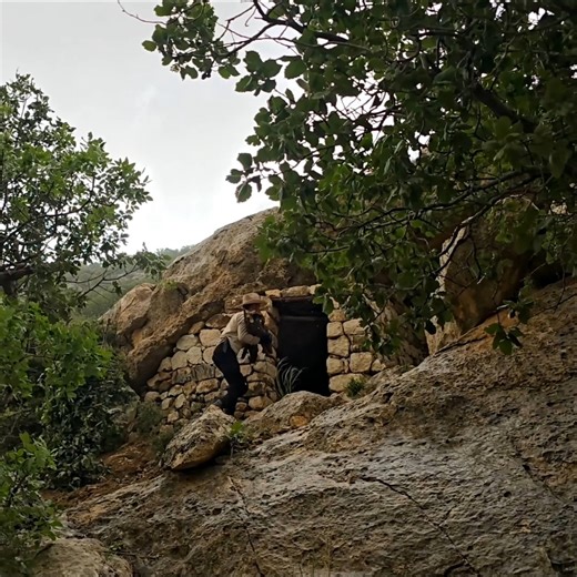 3.1M views · 33K reactions | Building bushcraft survival shelter for winter camping #camping #winter #asmr #nature #fblifestyle #wildlife | Dawid Outdoor Adventures | Facebook