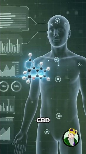 What Is CBD? A Beginner's Guide