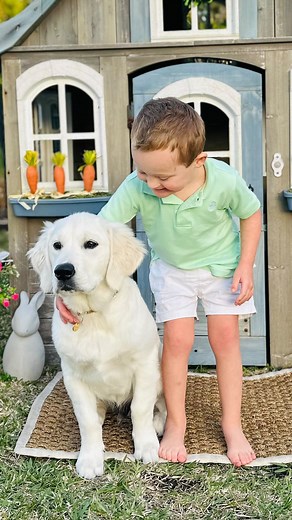 And I thought photographing Hudson was hard! Add a puppy, who is always looking for something to eat, and it’s next level 🤪 I finally did get them both sitting and looking at me, but Henri was too far up, so my camera was focused on his face and blurred Hudson’s. And the sun was too bright for Hudson’s super sensitive blue eyes. But it all sure made from some great video. 🩵 If you have any suggestions for making this easier, I’d love to hear them! 🐾 *Not shown is Henri getting the open bag of