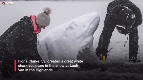Photos show cold water swimmer in a frozen loch - with snow sharks