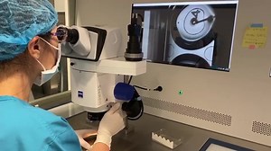 Today, we are showing you how we collect DNA from an embryo.溺 One of...