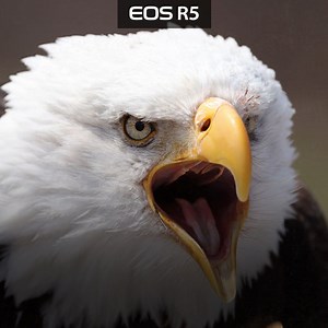 155K views · 300 reactions | Enfócate en lograr las fotos que quieres con este hack y tu EOS R5. Clic aquí para más información: https://www.cla.canon.com/cla/es/consumer/products/cameras/eos_cameras/eos_r5 | Canon | Facebook