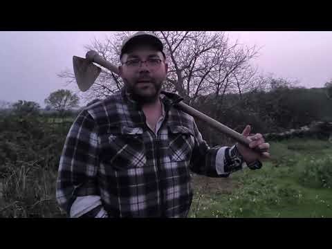 The number of TREES that ENTER the DRYLAND