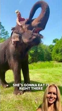 Woman Riding Wild Elephant! #wholesome #animals