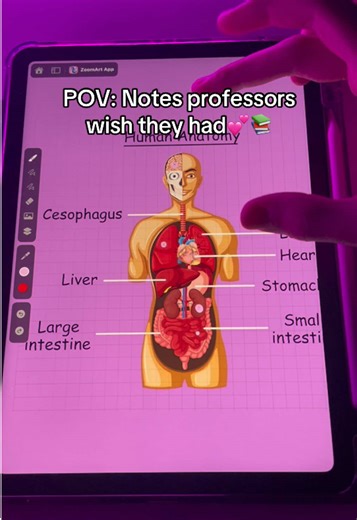 Essential Study Notes for Medical Students