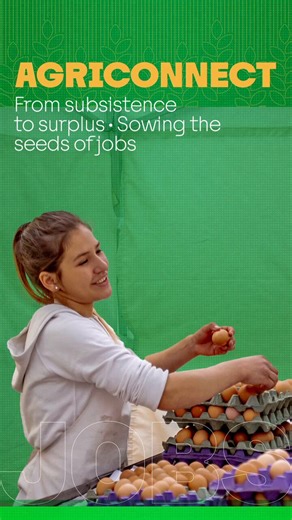 Agriculture is critical to jobs and food security.🌱AgriConnect is helping farmers access finance, markets, and tech.We’re doubling agribusiness investment to $9B a year by 2030. Already improving food security for 201M people—327M by 2030.Read more: https://t.co/SrTyGSFIg7