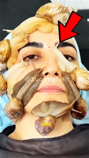 Snail Under Microscope 🐌🔬