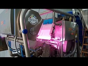 Dryce optical sorting machine for frozen french fries | RAYTEC VISION SpA