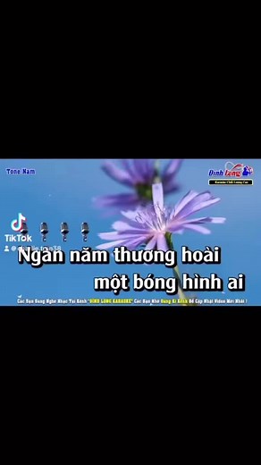 Charlie Si Tran on TikTok