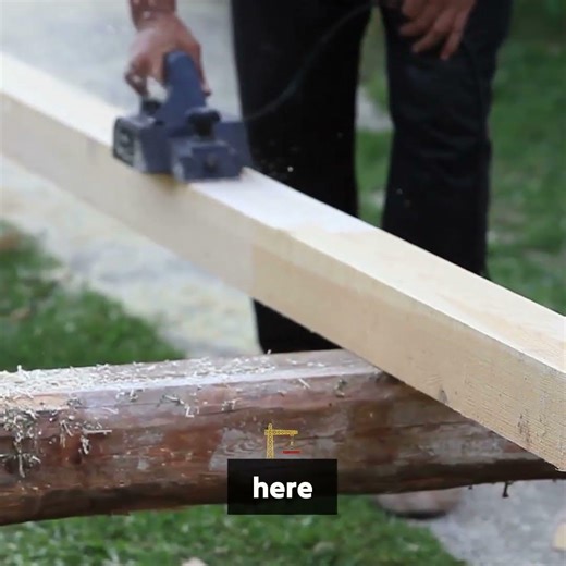 Termite Terror Found in a Brand New Homestead Purchase!