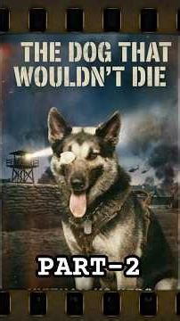 Part 2: Nemo A534 - The Bullet Couldn’t Stop Him – Nemo’s Story