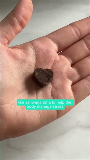 Helping Dogs Stay Calm During Firework Season | FAWS Calming Chews