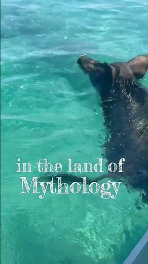 On this small island in Greece, pigs swim freely with humans! Do you know the myth behind them?