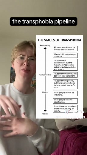 Understanding the Transphobia Pipeline