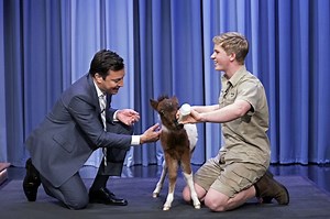 Jimmy Fallon and Robert Irwin get cosy with a miniature horse
