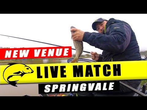 A NEW VENUE Challenge! Springvale Open Match | Live Match Fishing