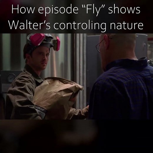 What does the fly in Breaking Bad represent?