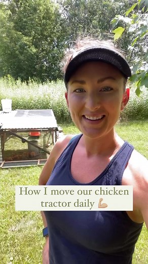Moving pastured meat birds (broilers) to fresh grass daily is essential, however, the move can be challenging if the chicken tractor isn’t constructed with movement in mind! We love our Salatin chicken tractor design because it’s lightweight yet sturdy, and moves like a breeze! 💫 The wheels on back create a pivot point and a strap in front allows me to lift and pull. I’ve seen people use a dolly as well. It takes a week or so for the chicks to get used to it, but after a few moves they figure o