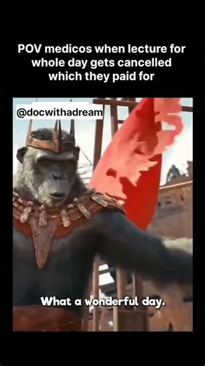 And this lecture will make them doctors 💊 #memes #medicalmeme #shorts #medmemes #anatomymeme #reel