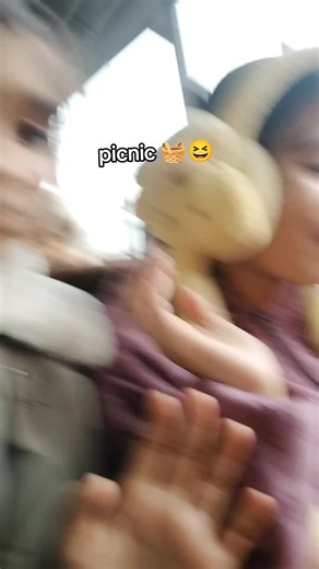 Fun Picnic Party Ideas for Your Next Outdoor Gathering