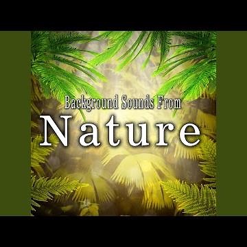 Jungle Ambience with Dense Monkey, Bird and Cricket Noise