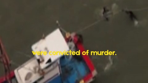 MV Sewol Ferry Disaster — This Happened: April 16