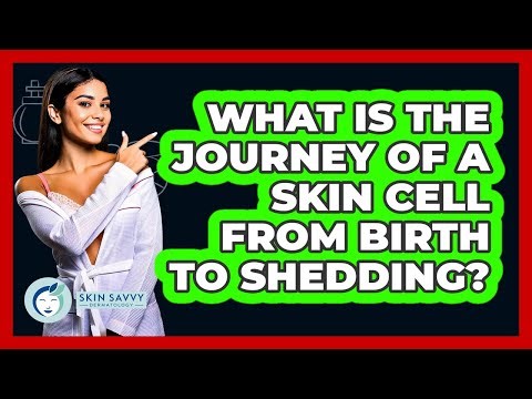 What Is The Journey Of A Skin Cell From Birth To Shedding? - Skin Savvy Dermatology