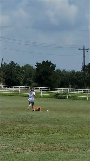 Single stage model rocket fail