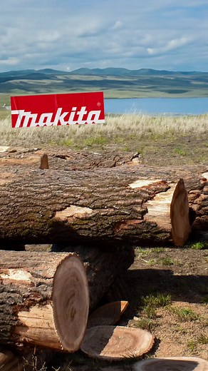 5.6K views · 43 reactions | Unleash the power of the XGT professional-grade chainsaw, equivalent to a 42cc engine chainsaw. Product code: UC011G #makitauk #chainsaw | Makita UK | Facebook