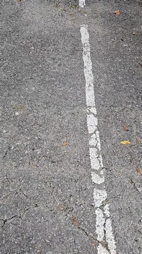 Fringe Festival begins tonight at Barking Legs! #barkinglegstheater #chattanoogaevents | Barking Legs Theater